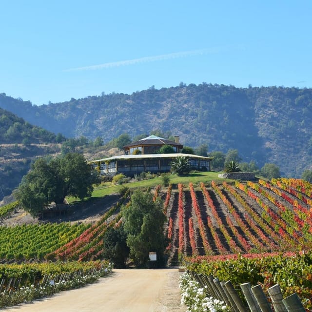 From Santiago: Private Wine Tour in the Colchagua Valley - Included Amenities