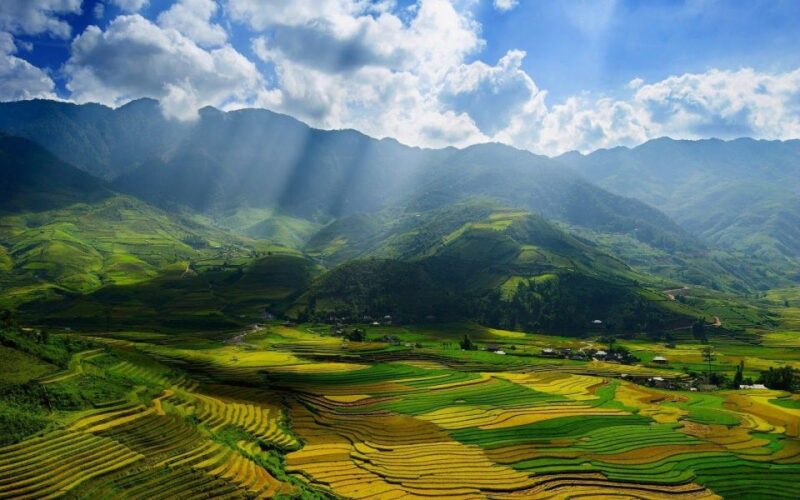 From Sapa : 1 Day Amazing Sapa Trek to Terrace Rice Field - Inclusions and Exclusions