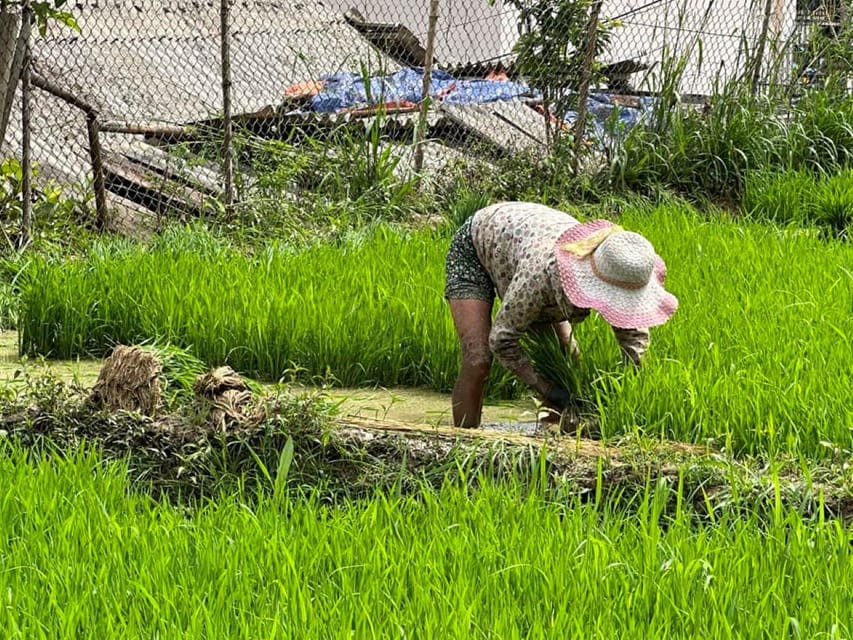 From Sapa - 1D Trek: Walk Through Bamboo Forest With Lunch - Included Services