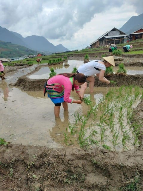 From Sapa: a Wonderful 2 Day 1 Night Trek With a Homestay - Inclusions and Exclusions