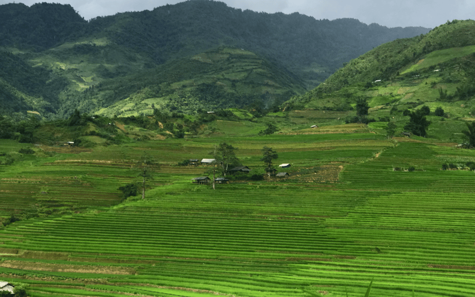 From Sapa to Mu Cang Chai - Rice Terraces Treks & Easy Rider - Accommodation and Meals