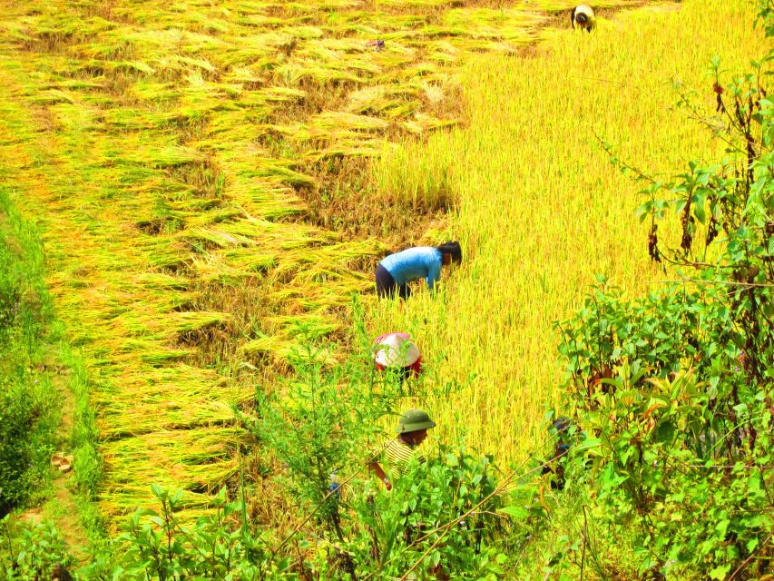 From Sapa: Waterfalls, Trekking and Tribal Villages Tour - Trekking Experience