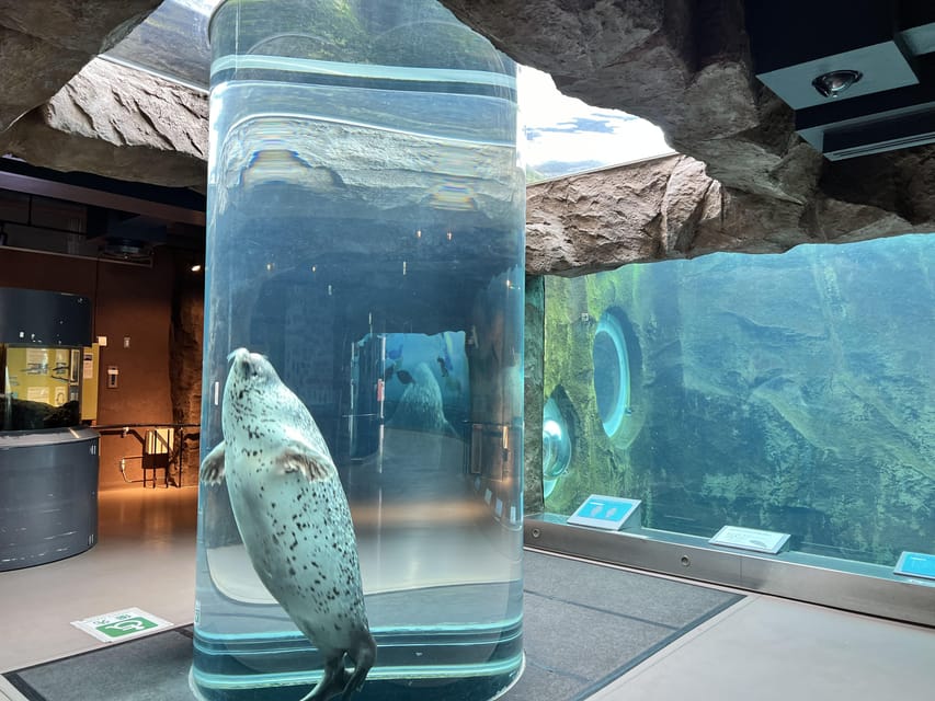 From Sapporo:Famous Asahiyama Zoo, Biei, Furano Forest - Discovering Ningle Terrace