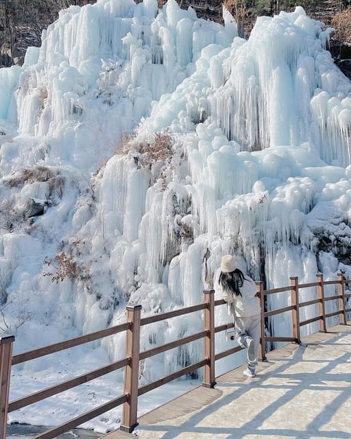 From Seoul: Eobi Ice Valley and Nami Island - Discover Nami Island