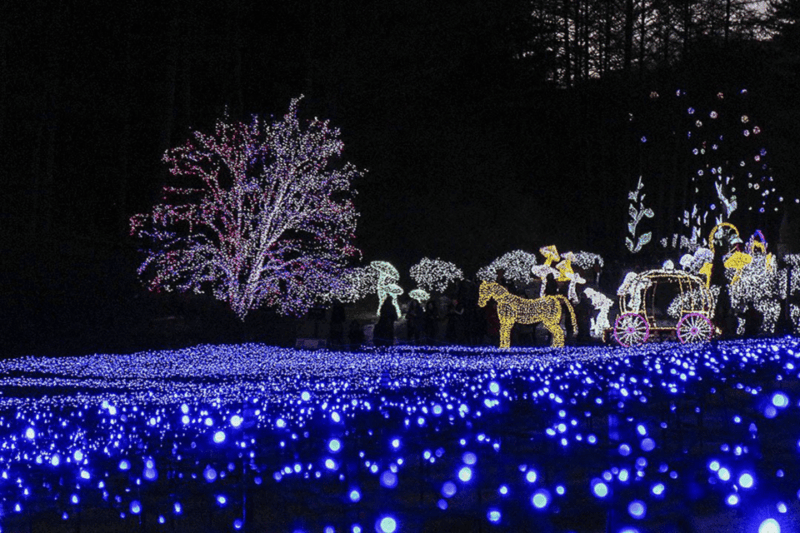 From Seoul: Hwacheon Ice Fishing and Lighting Festival Tour - Participant Information