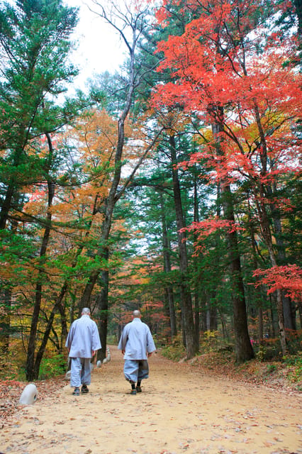 From Seoul: Odaesan or Daedunsan Park Fall Foliage Day Tour - Frequently Asked Questions