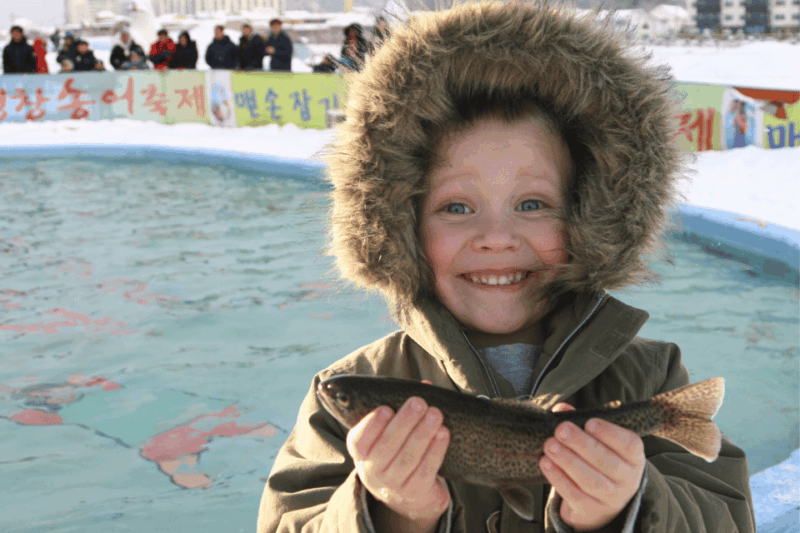 From Seoul: Pyeongchang Trout Festival - Important Information