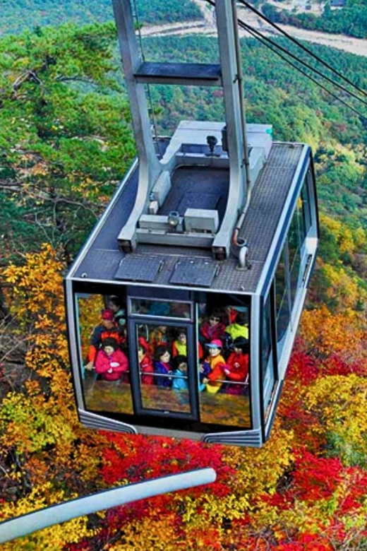 From Seoul: Seoraksan Maple Mountain With Cable Car - Inclusions and Exclusions