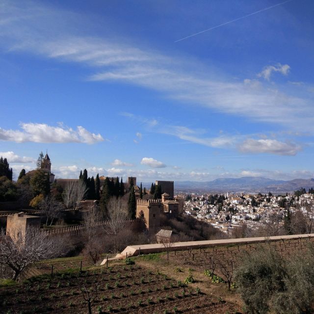 From Seville: Private Day Trip to Ronda and Granada - Visiting the White Towns of Andalusia