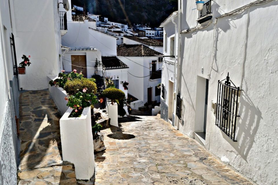 From Seville: White Villages Tour - Participant Information