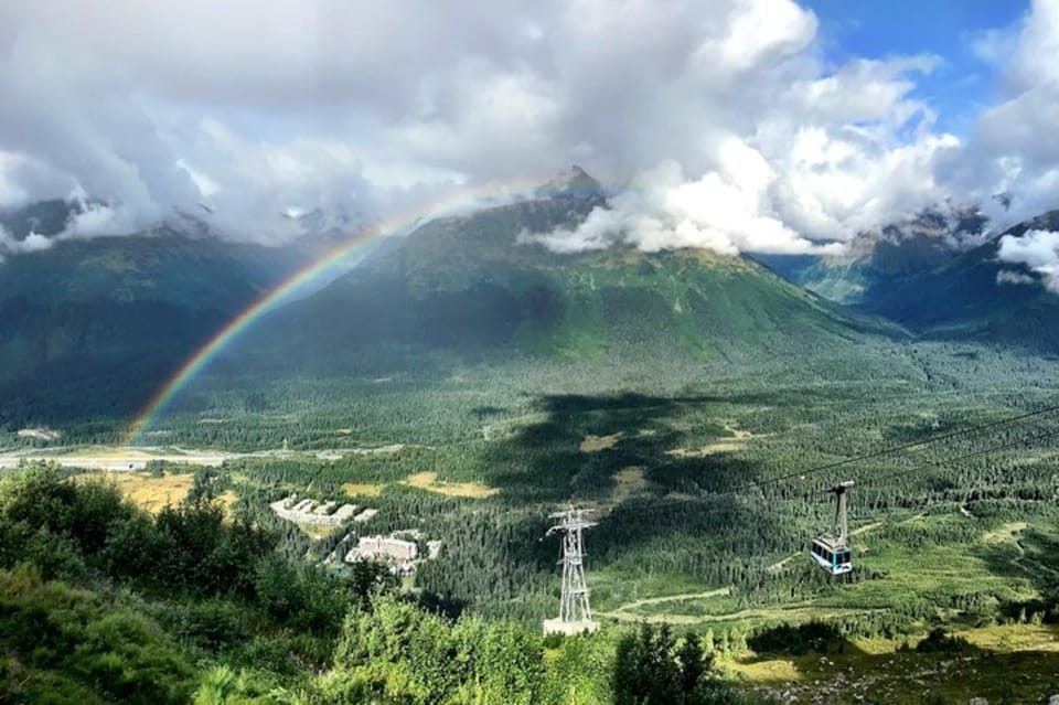 From Seward or Whittier: Guided Craft Tour and Ship Transfer - Scenic Drive Experience