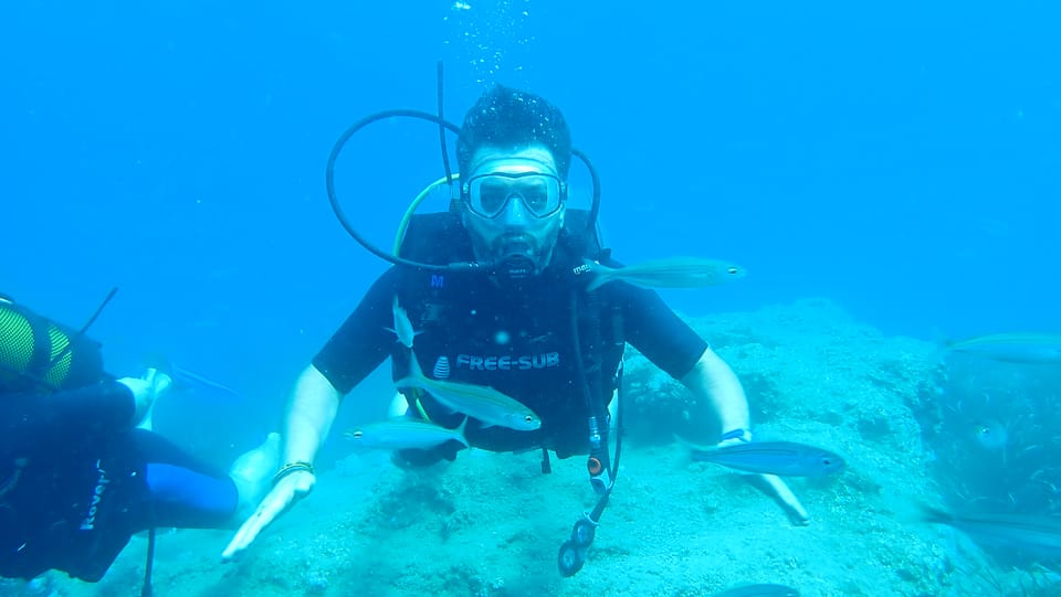 From Side: Guided Scuba Diving in Alanya W/ Lunch & Transfer - Customer Reviews