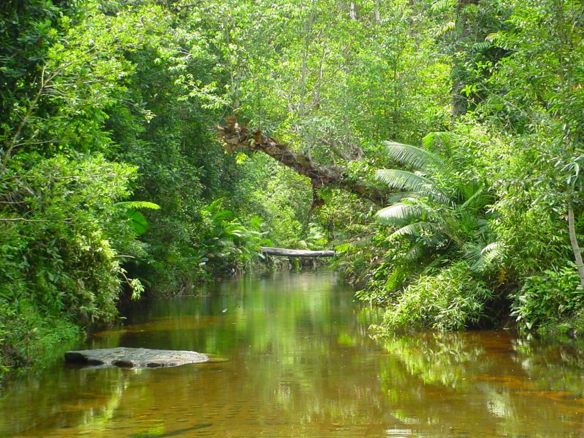 From Siem Reap: Small-Group Phnom Kulen Waterfall Day Tour - Transportation and Guide Details