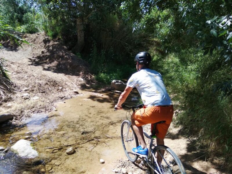 From Sitges: Paella Masterclass With Drink and Bike Ride - Included Amenities