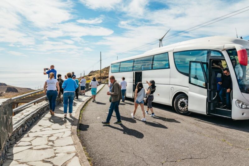 From South Tenerife: La Gomera Island Day Trip With Lunch - Participant Information