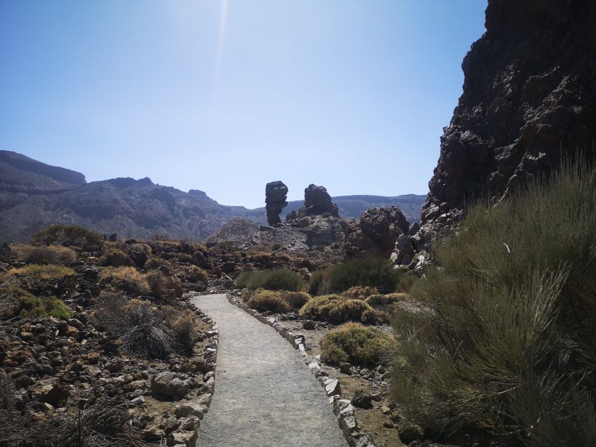 From South Tenerife: Teide National Park Tour - Booking Information