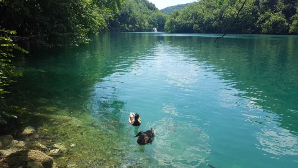 From Split or Trogir: Plitvice Lakes Trip With Entry Ticket - Customer Ratings and Feedback