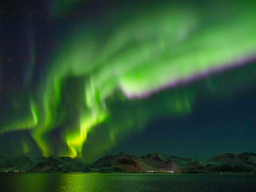 From Svolvær: Guided Northern Lights Tour by Van - Customer Reviews