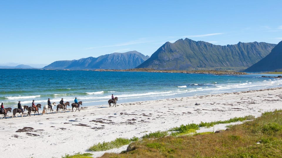 From Svolvær: Henningsvær Lofoten East Island Full Day Tour - Important Information