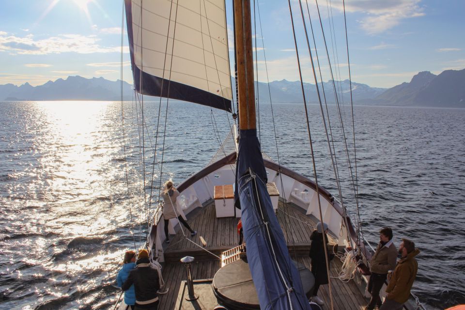 From Svolvær: Lofoten Islands Midnight Sun Luxury Sail - Wildlife Spotting Opportunities