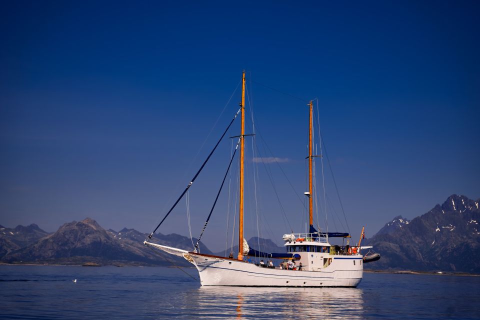 From Svolvær: Lofoten Islands Sea to Table Fishing Trip - Onboard Experience