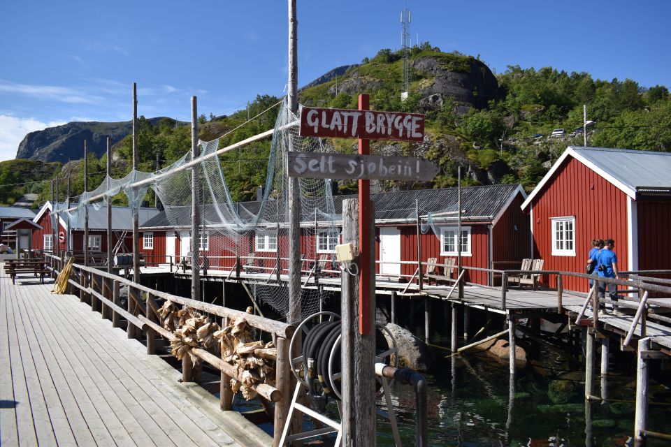 From Svolvaer: Private Lofoten Islands Tour With Transfer - Language Options