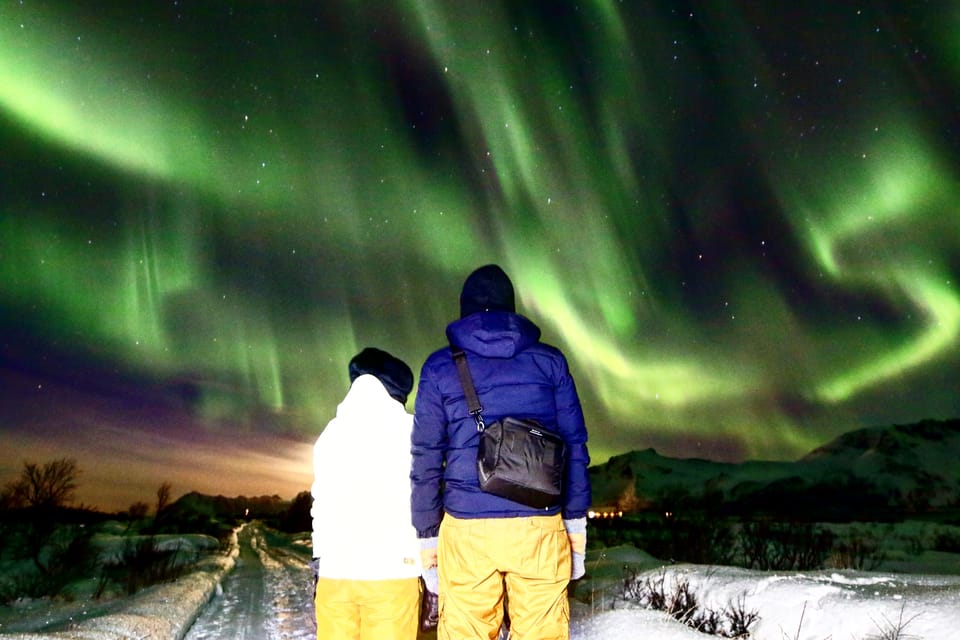 From Svolvaer: Private Northern Lights Search Trip - Important Information and Requirements