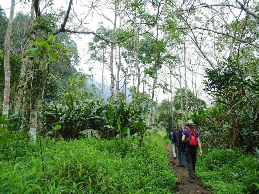 From Tam Coc/Ninh Binh: Cuc Phuong National Park Day Trip - Inclusions and Exclusions