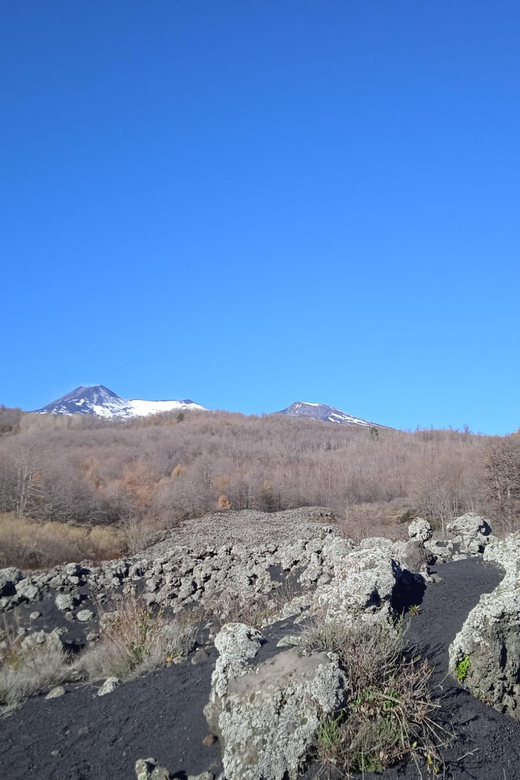 From Taormina: Etna Private Guided Tour - Inclusions and Requirements