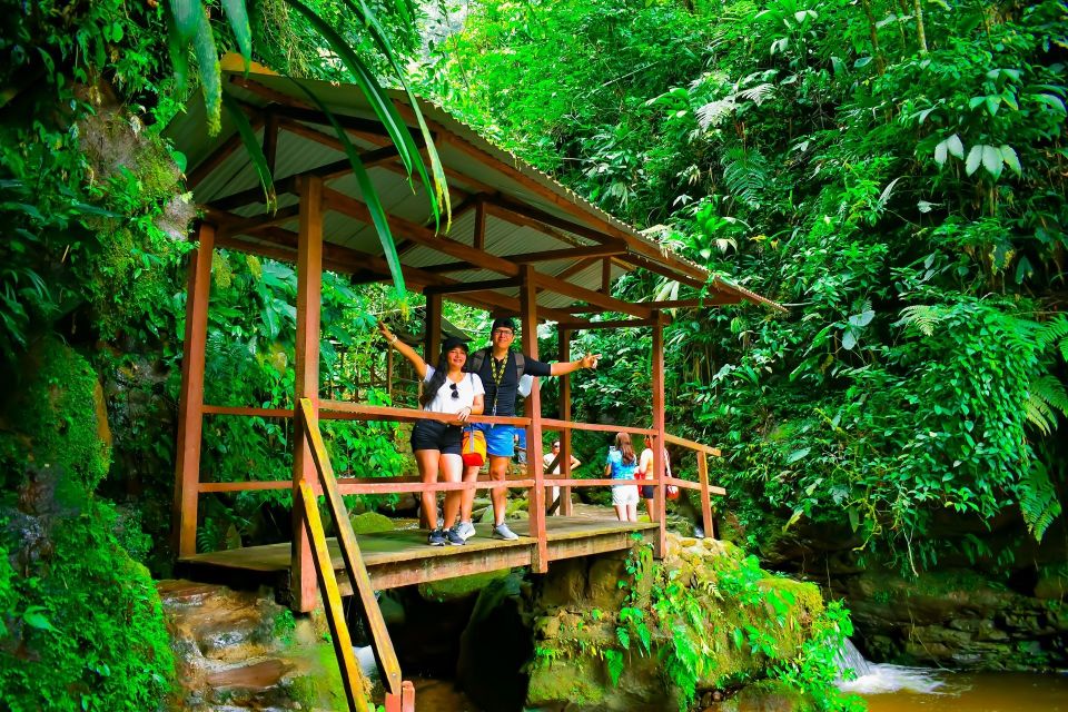 From Tarapoto: Ahuashiyacu Waterfall Half Day Tour - Discovering Ahuashiyacu Waterfall