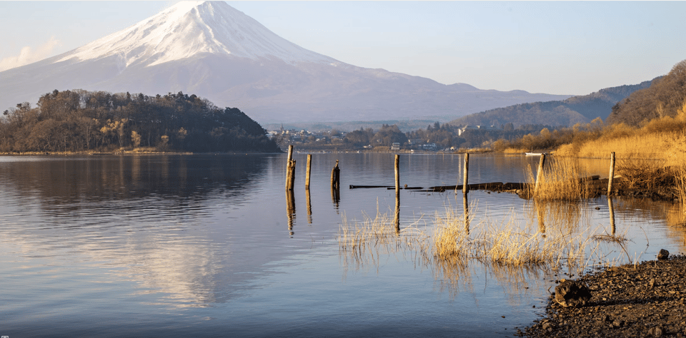 From Tokoyo - Mount FUJI Classic Highlight Joiner Day Tour - Lake Kawaguchi Activities