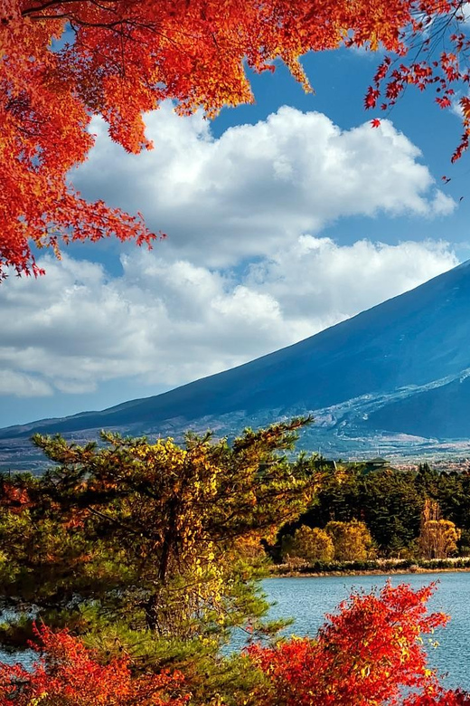 From Tokyo: 1 Day Mount Fuji Private Guided Tour - Important Participant Information