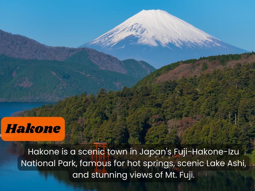 From Tokyo: Hakone, Lake Ashi Private Sightseeing Day Trip - Inclusions and Amenities