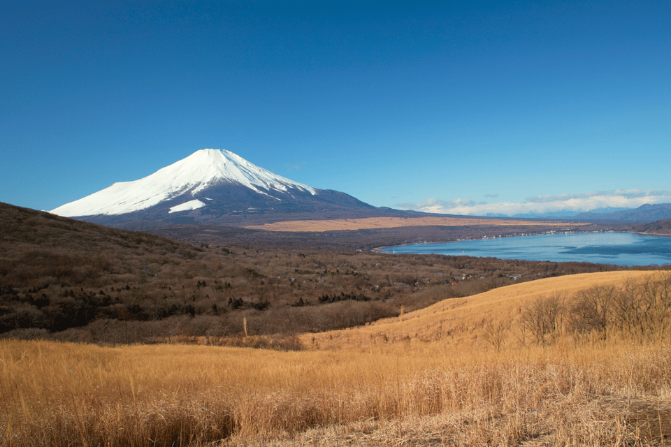 From Tokyo: Mount Fuji and Fuji 5 Lakes Private Guided Tour - Unique Experiences