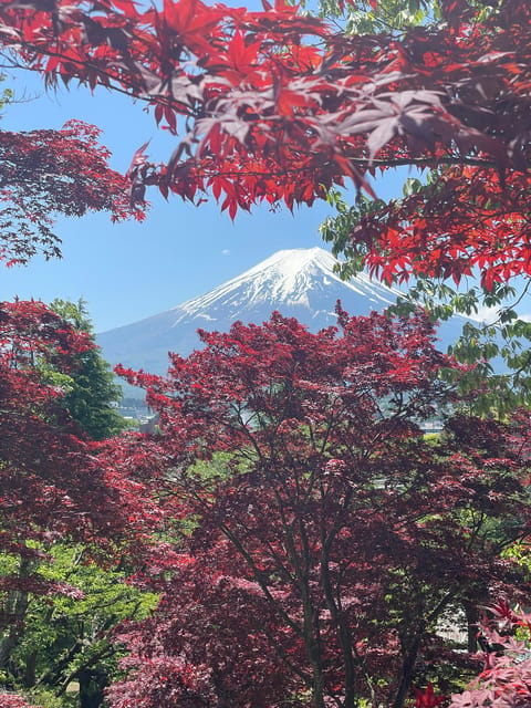 From Tokyo: Mount Fuji Day Trip With English Speaking Driver - Inclusions and Exclusions