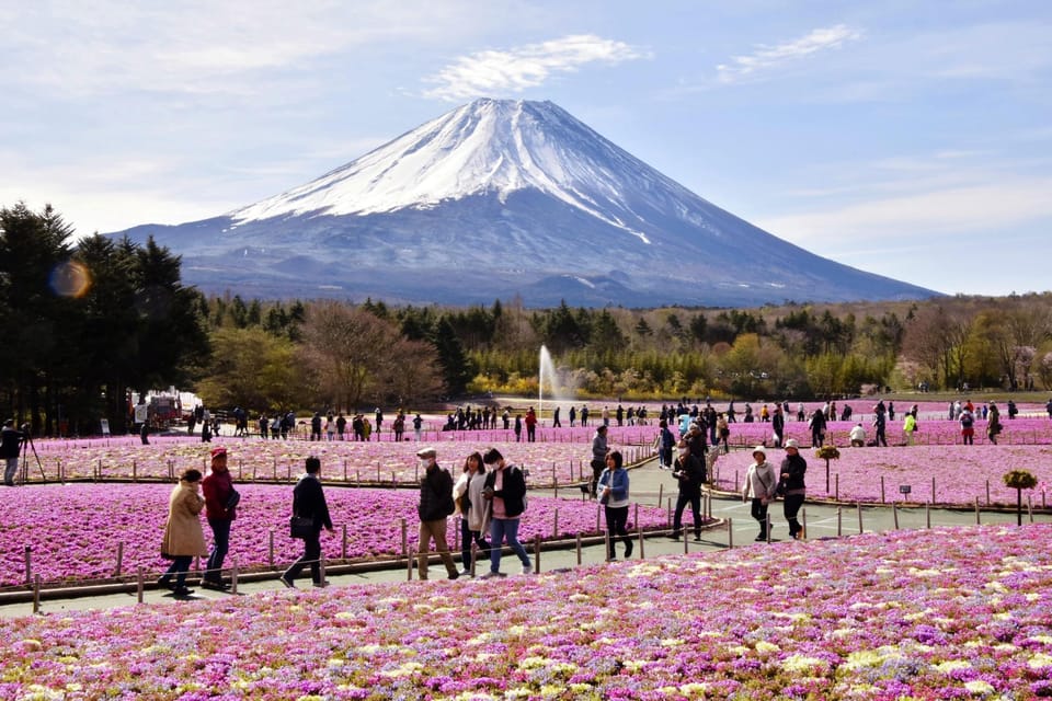 From Tokyo: Mount Fuji Day Trip - Highlights of the Trip