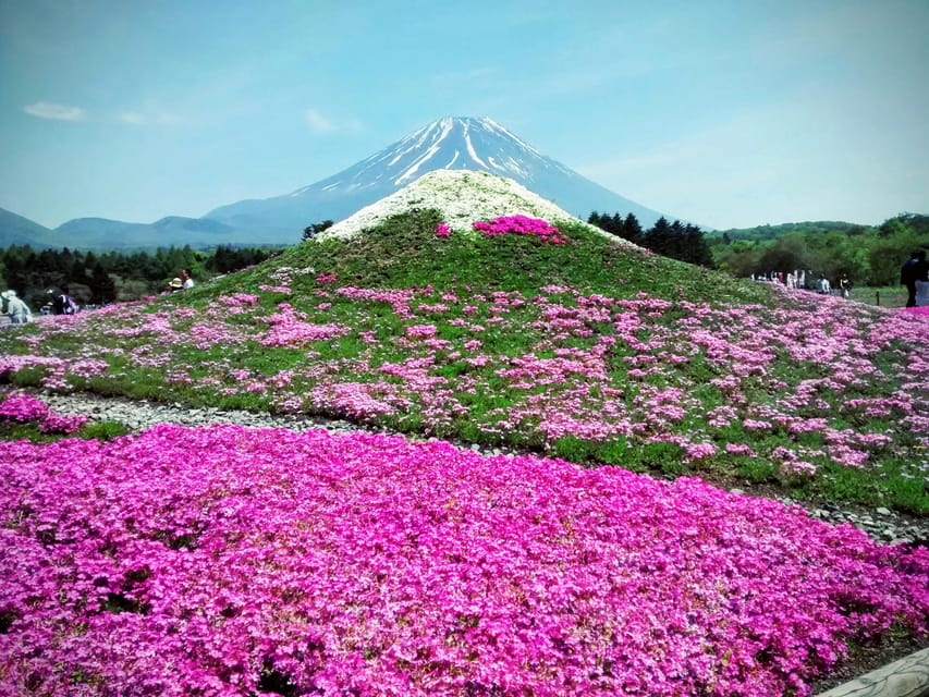 From Tokyo: Mount Fuji Instagram Spots 1-Day Private Tour - Iconic Instagram Spots