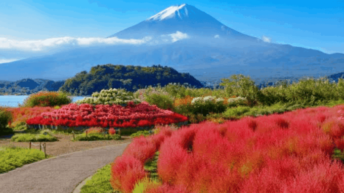 From Tokyo: Mount Fuji Private Day Trip - Frequently Asked Questions