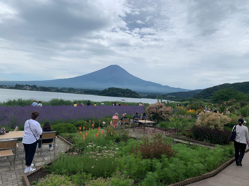 From Tokyo: Mount Fuji Sightseeing Private Group Tour - Guided Experience Details