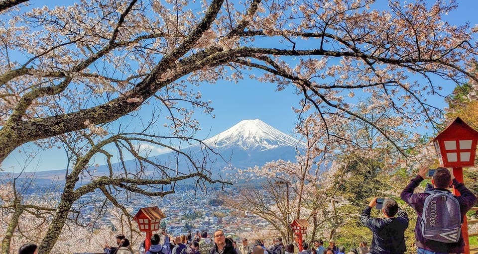 From Tokyo: Mt Fuji and Lake Kawaguchiko Private Day Trip - Customer Reviews and Ratings