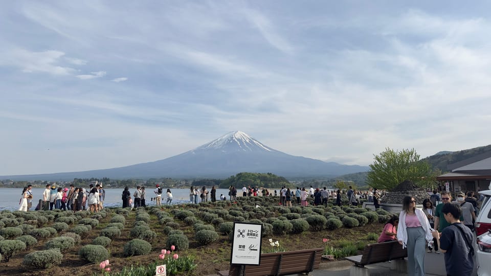 From Tokyo: Mt. Fuji Highlights Customizable Private Tour - Transportation Details