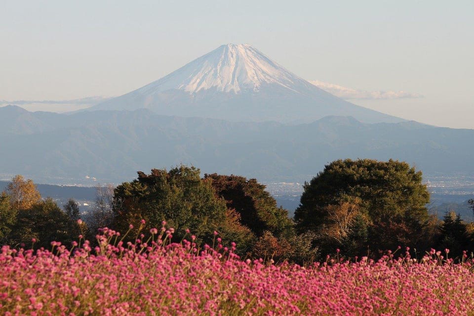 From Tokyo: Mt. Fuji or Hakone Private Sightseeing Day Trip - Exclusions