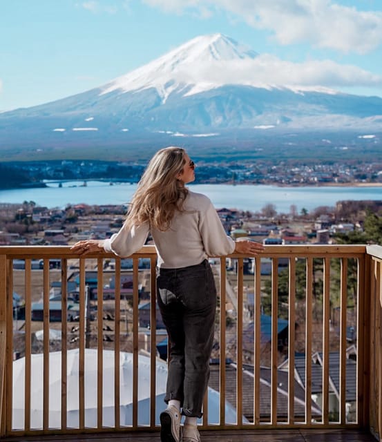 From Tokyo : Mt Fuji Private Sightseeing Tour - Inclusions and Exclusions