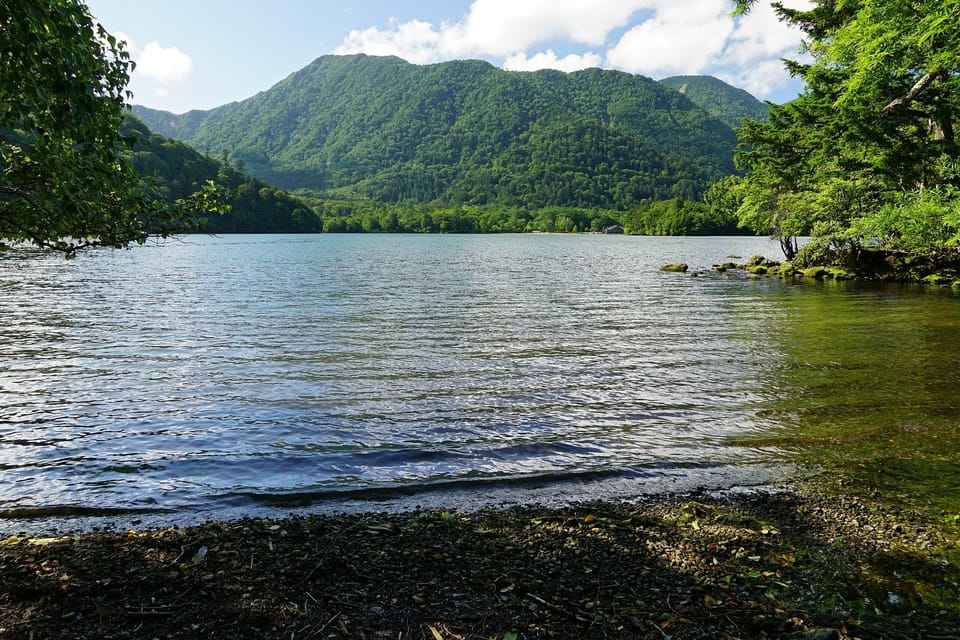 FROM TOKYO: NIKKO WORLD HERITAGE SIGHTS PRIVATE TOUR - Booking and Cancellation Policy