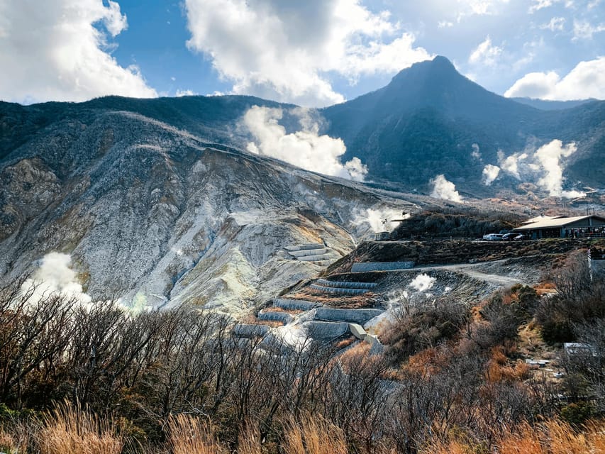 From Tokyo: Private Day Trip to Hakone With English Driver - Accessibility Features