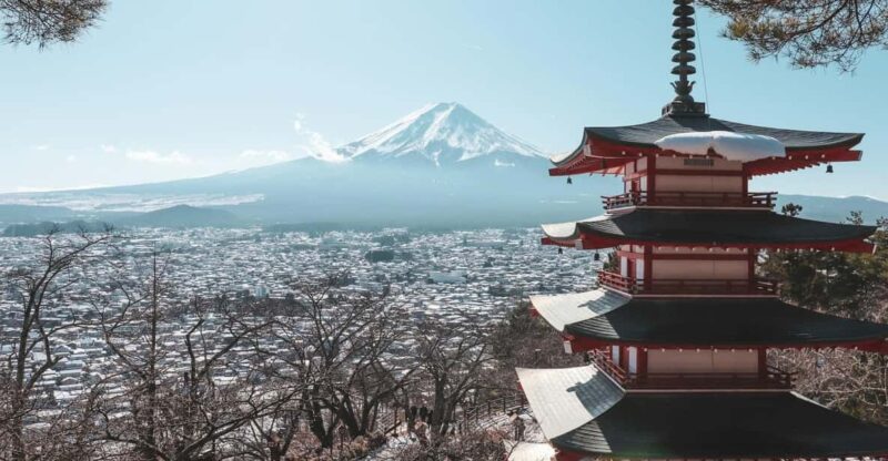 From Tokyo: Private Mount Fuji Full-Day Guided Tour - Booking and Cancellation Policy