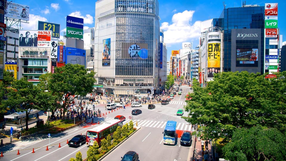 From Tokyo Private Tour With English Speaking Driver - Experience and Services Offered