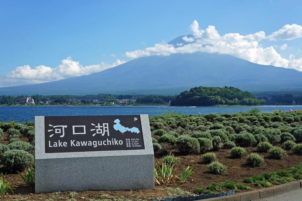 From Tokyo, Yokohama: Mount Fuji Sightseeing Trip - Saiko Iyashi-no-Sato Nenba