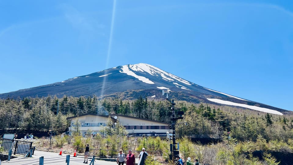 From Tokyo/ Yokohama: Private Day Trip To Mt. Fuji/Hakone - Accessibility Features