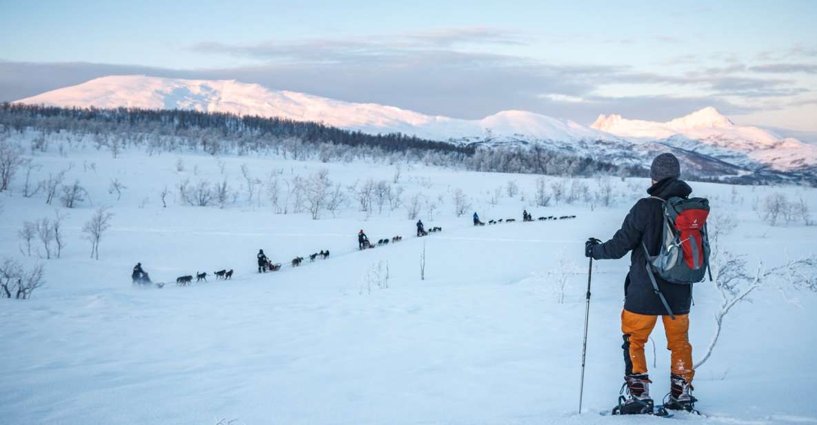 From Tromsø: Guided Husky Snowshoe Hike and Husky Camp Visit - Highlights of the Hike